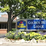 Best Western Golden Buff Lodge