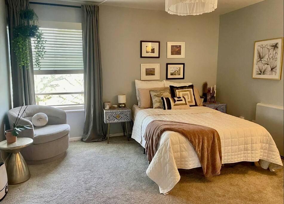 The Cutest And Coziest Little 1bd1ba Condo!