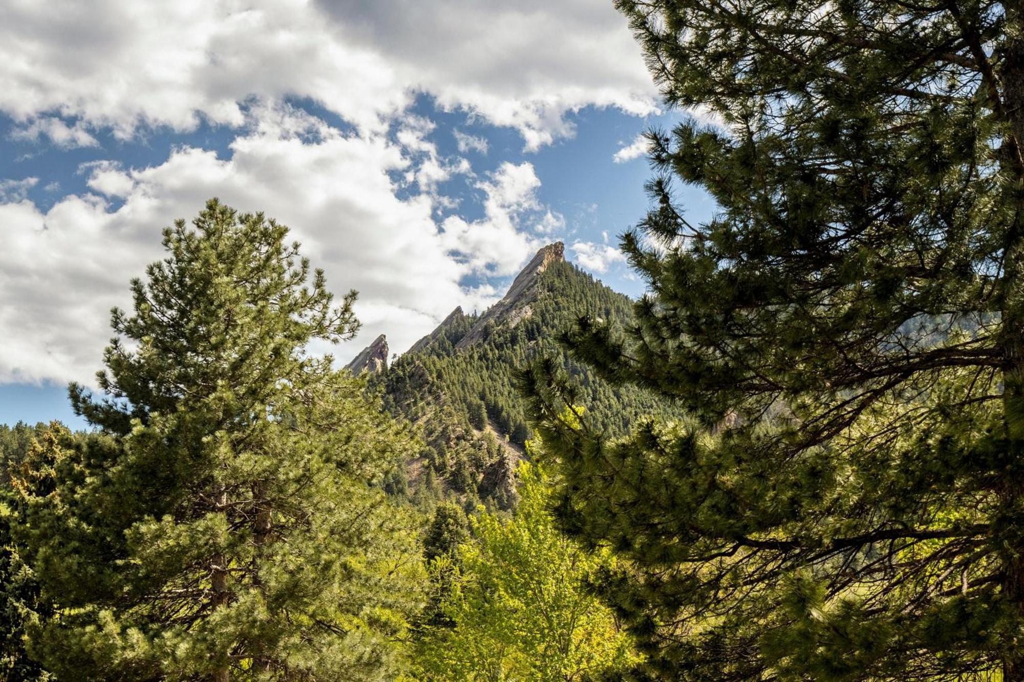 Creekside Retreat - Sauna - Walk To Chautauqua Holiday home *