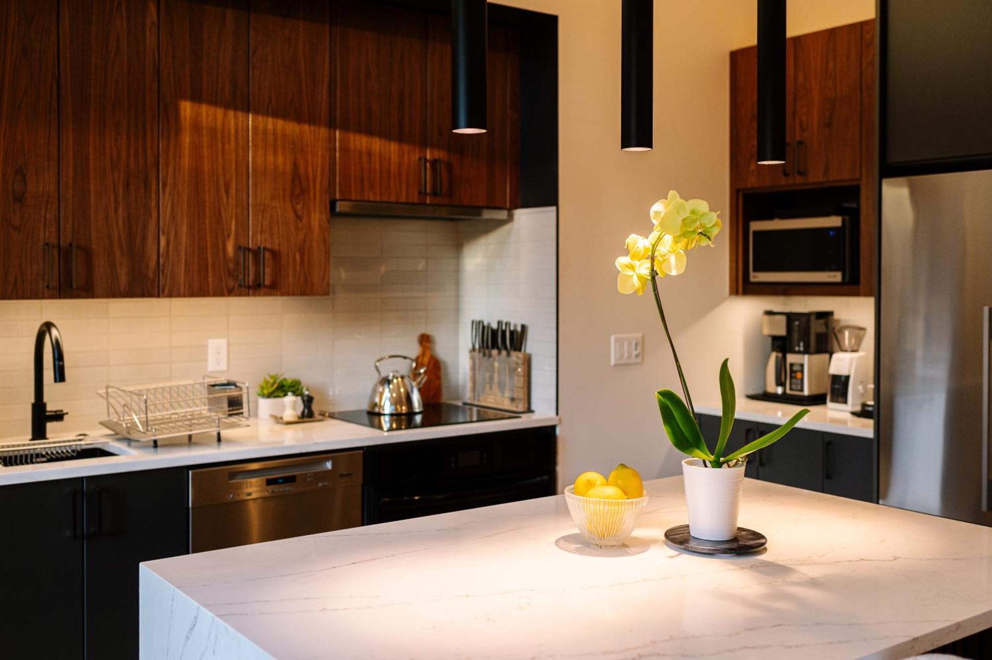 Topside Bright & Modern Furnished Private 1br 2ba