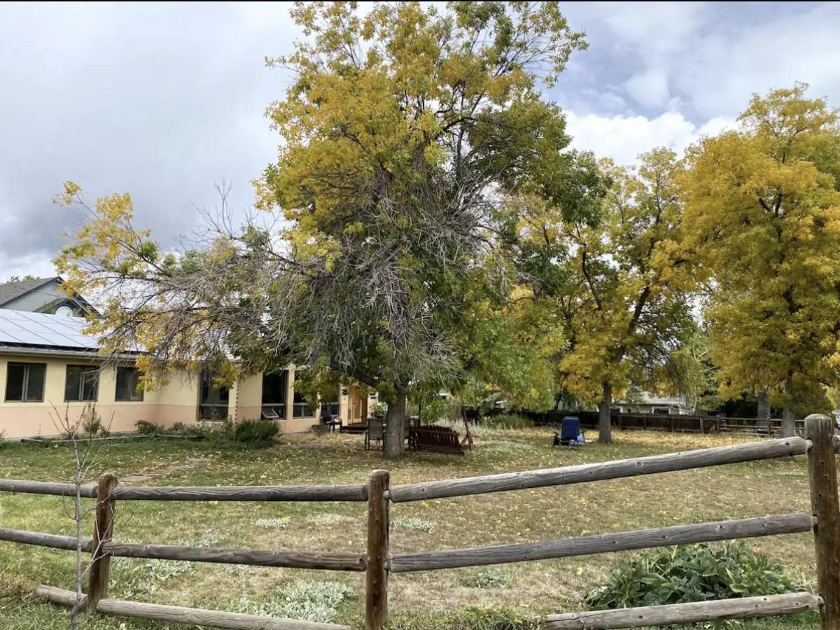 Homestay Energy-efficient Oasis Cozy Near Dt And Trails