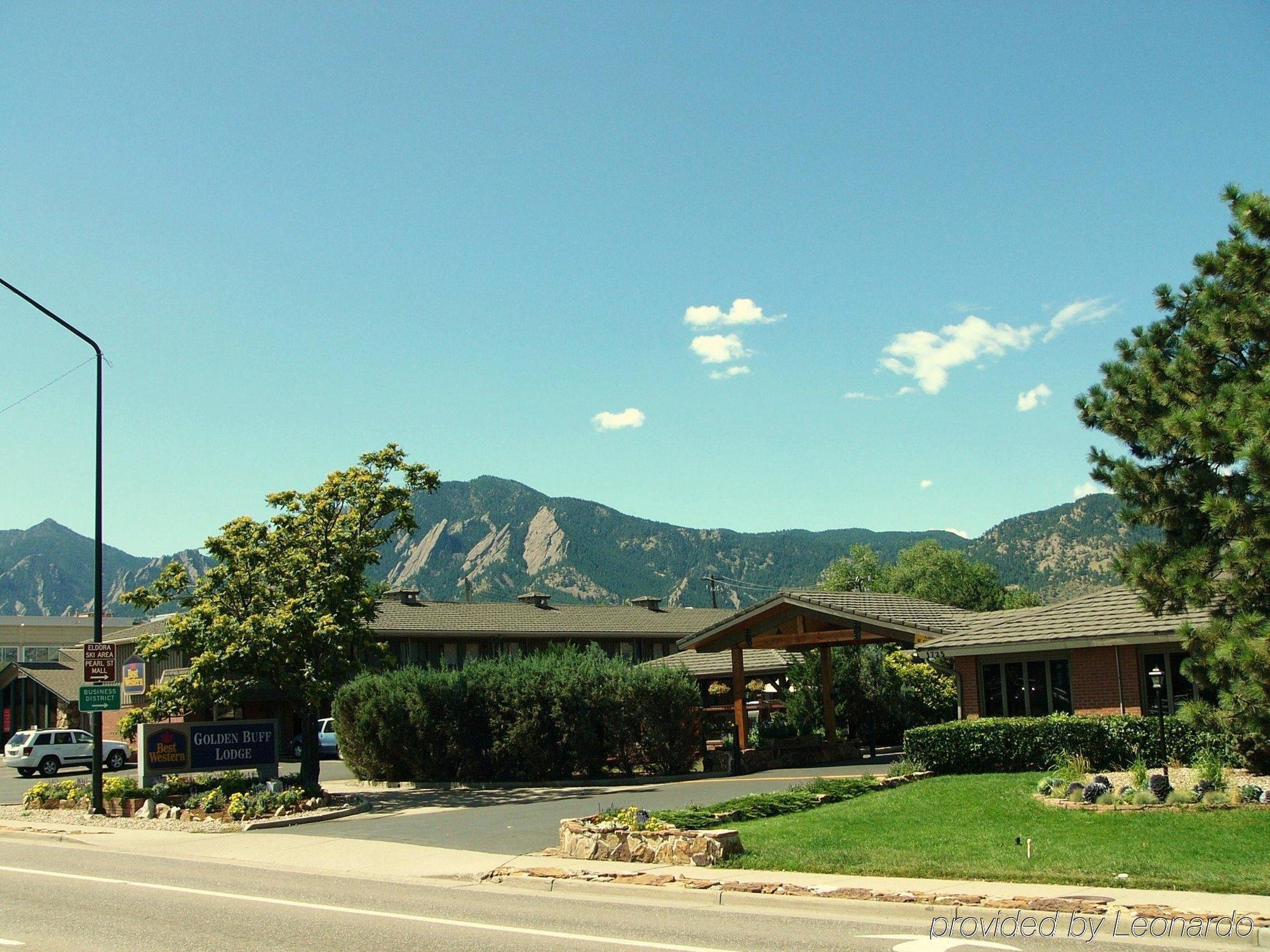 Hotel Western Golden Buff