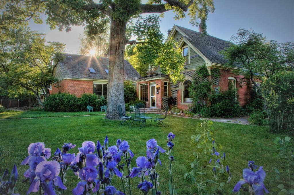 Bed & Breakfast Briar Rose 4*