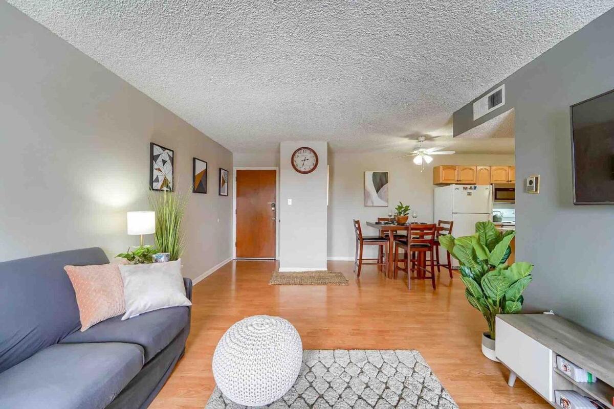 2br Gem In The Heart Of - Pets Allowed, Gym & Pool *
